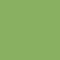 Светло зеленый BS2169-55